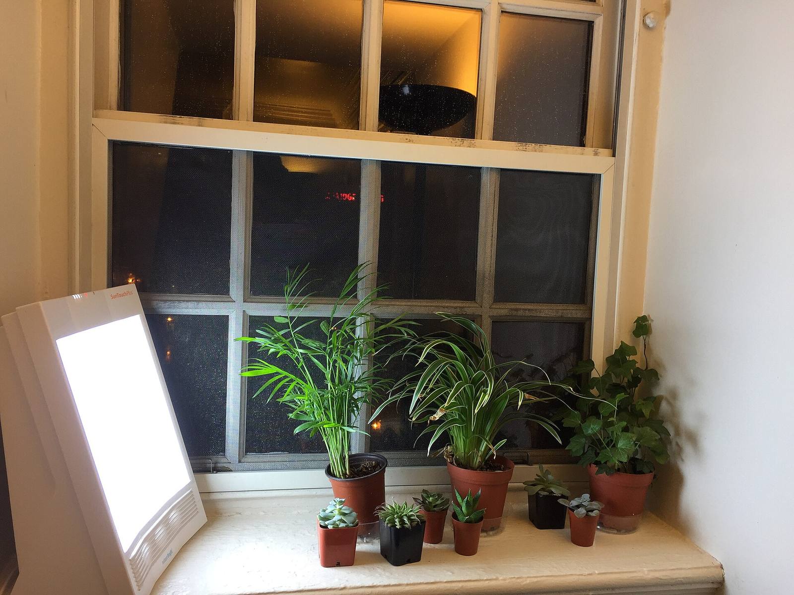A windowsill lined with potted plants beside a bright supplemental lamp
